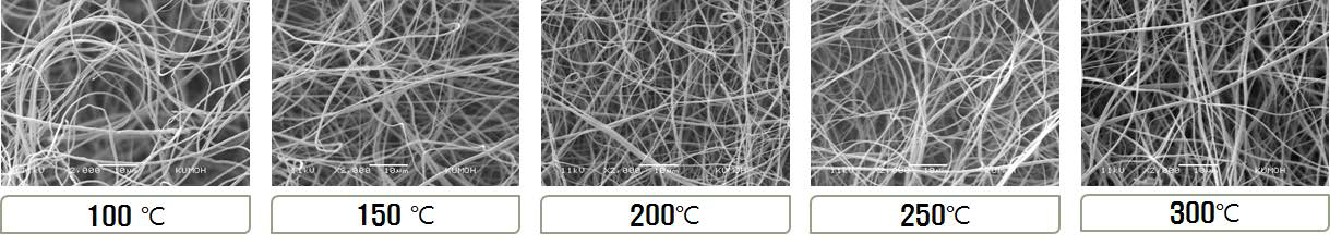 온도에 따른 열처리 SEM 사진