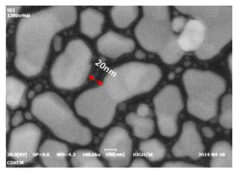 영상 이미지(Au Particle)를 통한 분해능 측정