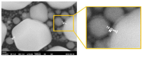 PCDS의 SEM 모듈로 Au Particle를 이용한 분해능 검증 결과