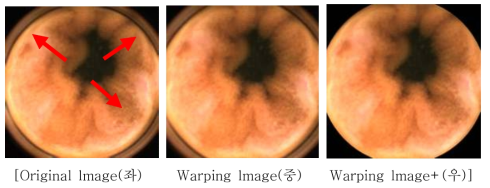 Warping 기법에 의한 작업