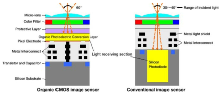 Fujifilm에서 발표한 organic CMOS image sensor 구조