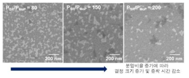 분압비율 증가에 따른 2차원소재 증착 결과 SEM 이미지