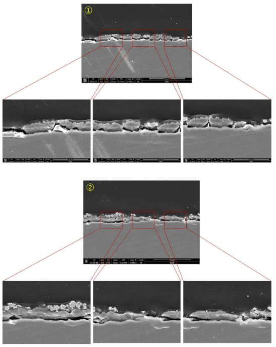 SUS430-0.5wt.% La2O3(micro) 1,000시간 산화 시험 후 Cross-section image