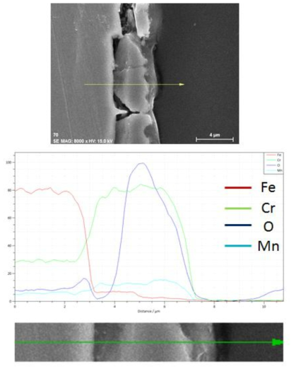 SUS430-0.5wt.% La2O3(micro) 1,000시간 산화시험 후 EDS SEM image