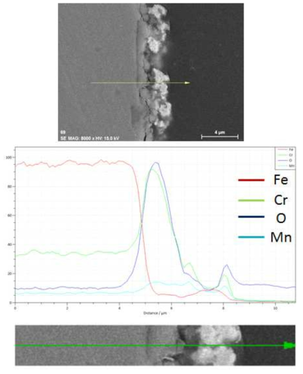 SUS430-1wt.% La2O3(micro) 1,000시간 산화시험 후 EDS SEM image