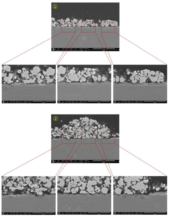 SUS430-3wt.% La2O3(micro) 1,000시간 산화시험 후 Cross-section image