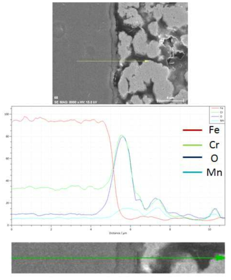 SUS430-3wt.% La2O3(micro) 1,000시간 산화시험 후 EDS SEM image