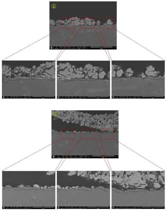 SUS430-5wt.% La2O3(micro) 1,000시간 산화시험 후 Cross-section image