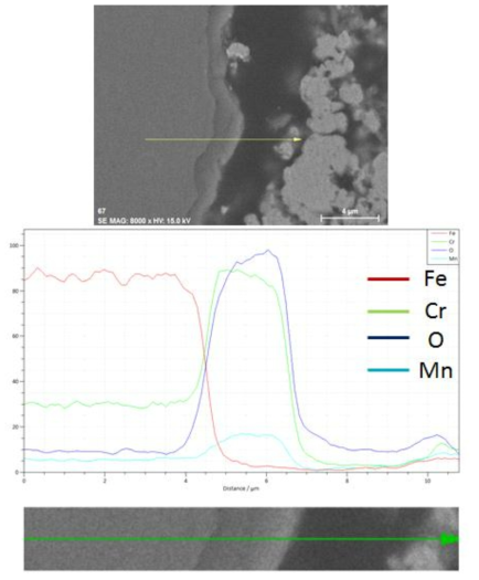 SUS430-5wt.% La2O3(micro) 1,000시간 산화시험 후 EDS SEM image