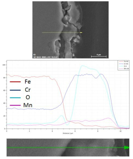 SUS430-0.5wt.% La2O3(nano) 1,000시간 산화시험 후 EDS SEM image