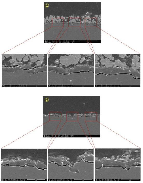 SUS430-1wt.% La2O3(nano) 1,000시간 산화시험 후 Cross-section image