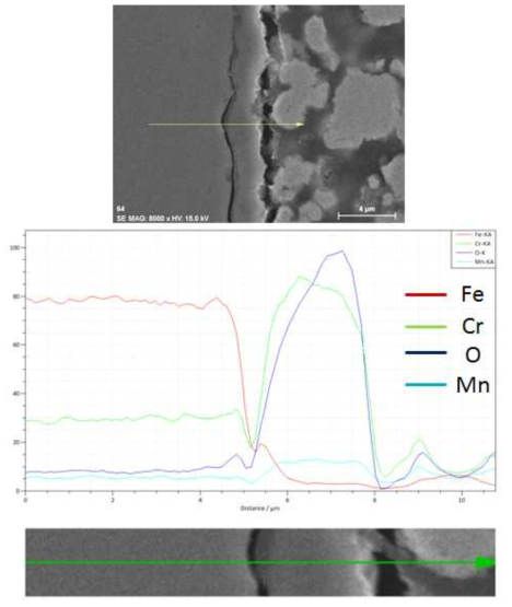 SUS430-1wt.% La2O3(nano) 1,000시간 산화시험 후 EDS SEM image