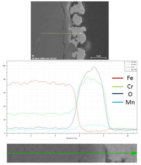 SUS430-3wt.% La2O3(nano) 1,000시간 산화시험 후 EDS SEM image