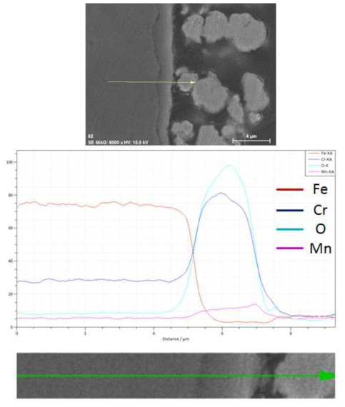 SUS430-5wt.% La2O3(nano) 1,000시간 산화시험 후 EDS SEM image