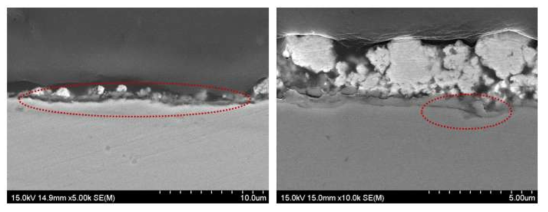 SUS430-0.5wt.% La2O3(micro) 열 사이클 시험 후 Cross-section image