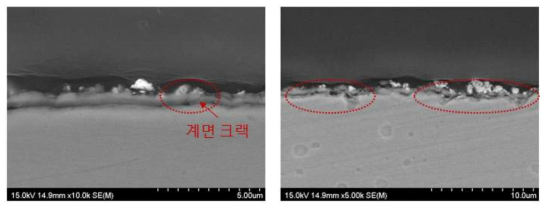 SUS430-3wt.% La2O3(micro) 열 사이클 시험 후 Cross-section image