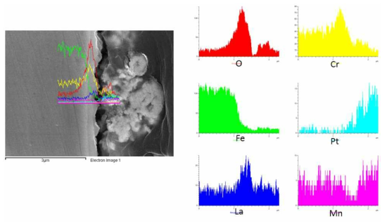 SUS430-5wt.% La2O3(micro) 열 사이클 시험 후 EDS Cross-section image