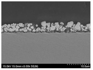 SUS430-0.5wt.% La2O3(nano) 열 사이클 시험 후 Cross-section image