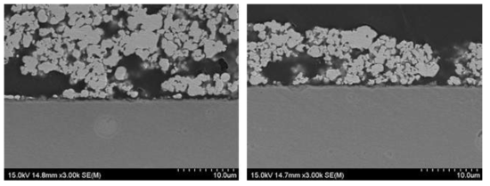 SUS430-3wt.% La2O3(nano) 열 사이클 시험 후 Cross-section image