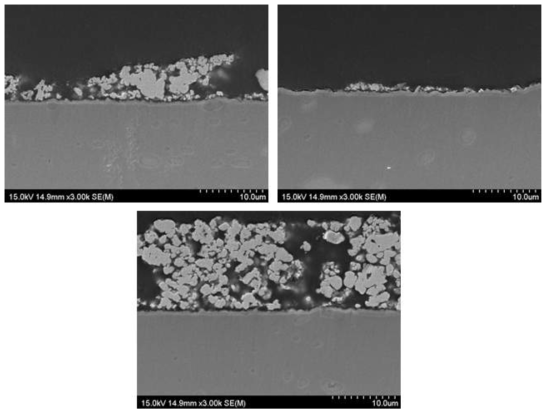 SUS430-5wt.% La2O3(nano) 열 사이클 시험 후 Cross-section image