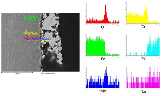 SUS430-5wt.% La2O3(nano) 열사이클 시험 후 EDS Cross-section image