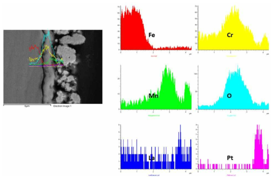 SUS430-0.5wt.% LSM 1,000시간 산화시험 후 EDS SEM image