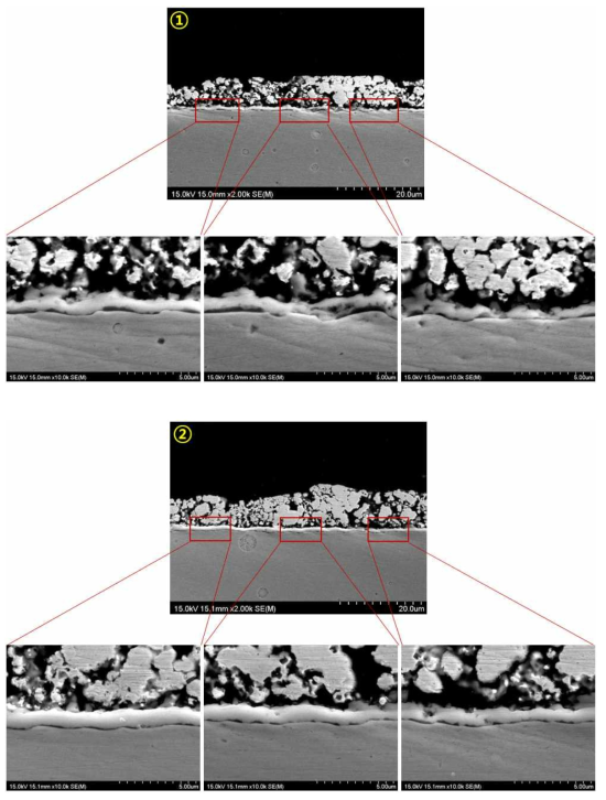 SUS430-1wt.% LSM 1,000시간 산화시험 후 Cross-section image