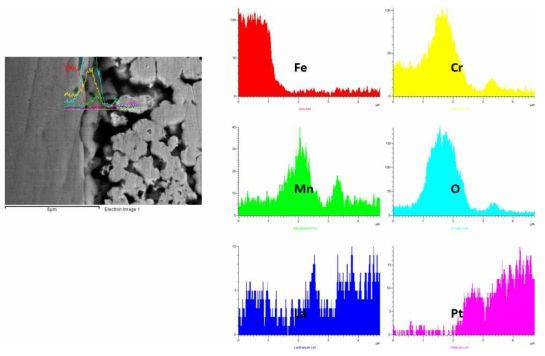 SUS430-1wt.% LSM 1,000시간 산화시험 후 EDS SEM image