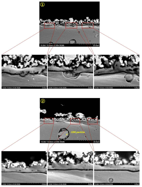 SUS430-3wt.% LSM 1,000시간 산화시험 후 Cross-section image