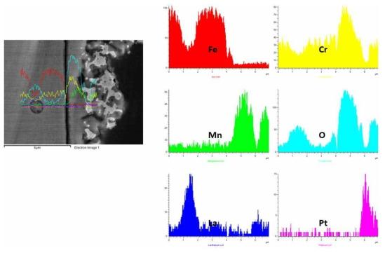 SUS430-3wt.% LSM 1,000시간 산화시험 후 EDS SEM image