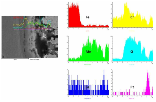 SUS430-5wt.% LSM 1,000시간 산화시험 후 EDS SEM image