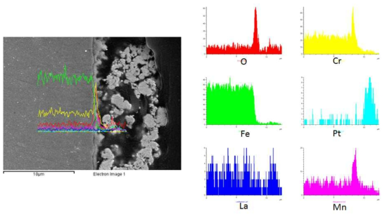 SUS430-5wt.% LSM 열사이클 시험 후 EDS SEM image