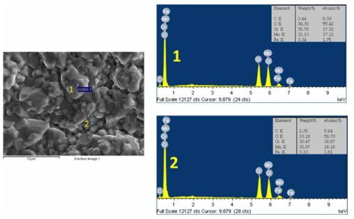800 ℃의 공기분위기에서 1,000시간 동안 산화 시험 후 Crofer 22 APU 표면의 점 EDS 분석 결과22