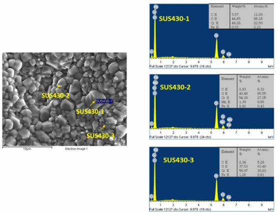800 ℃의 공기분위기에서 1,000시간 동안 산화 시험 후 SUS430 표 면의 점 EDS 분석 결과