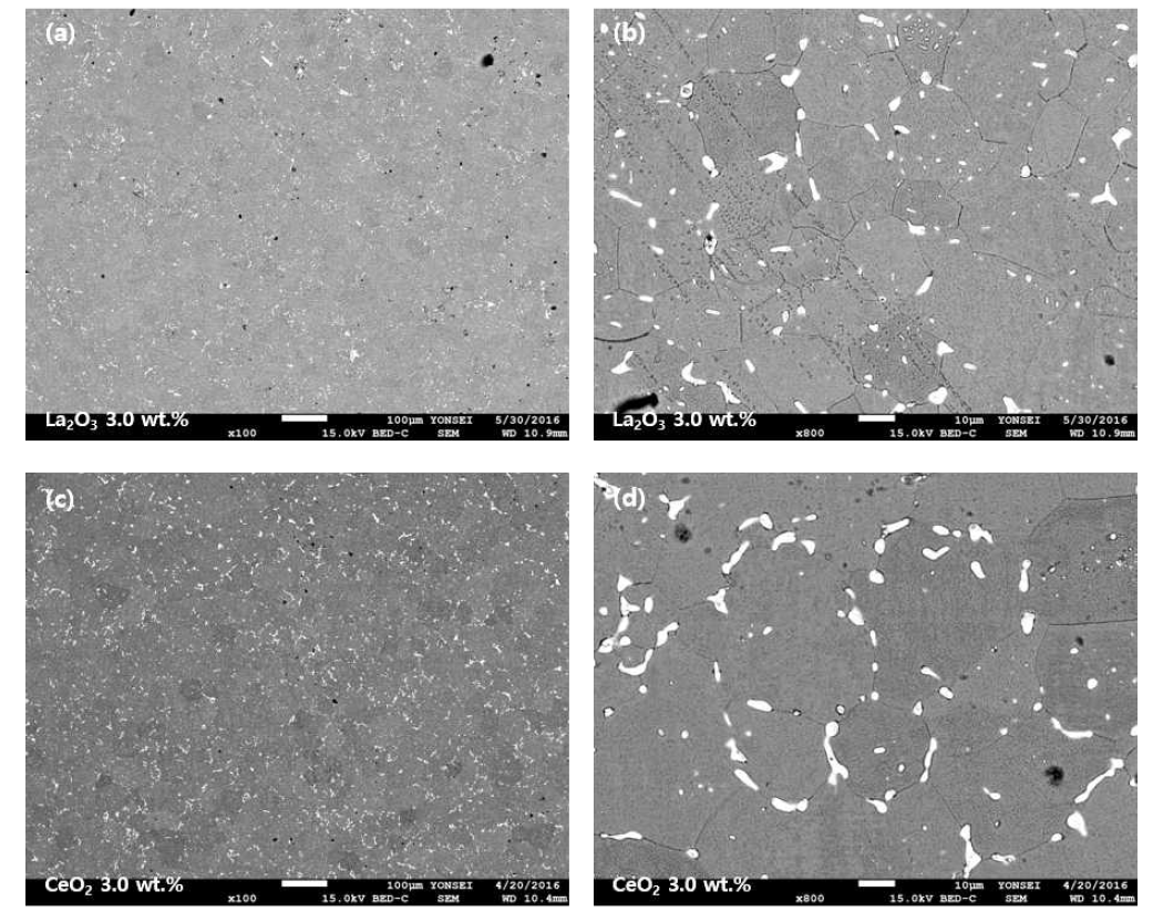 소결체의 미세조직 및 첨가된 희토류 산화물의 분산도