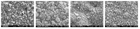 La2O3분산 시편의 각 조성 별 1000 시간 산화 후 산화물의 미세 조직