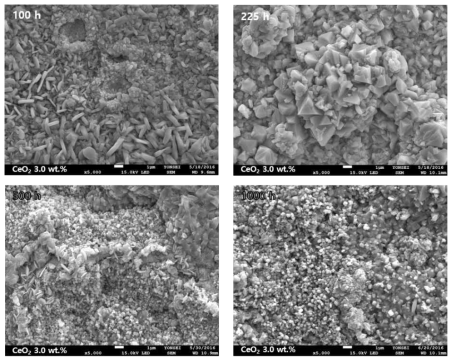 CeO2 3.0 wt.% 첨가된 시편의 시간대별 산화물 형상