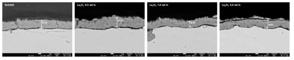 La2O3 첨가 시편의 1000 시간 산화 후 단면 SEM 이미지