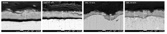 CeO2 첨가시편의 1000 시간 산화 후 단면 SEM 이미지
