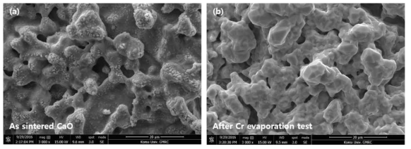 (a) 소결된 CaO의 형상 (b) Cr휘발성 측정 후 CaO 표면 SEM 이미지