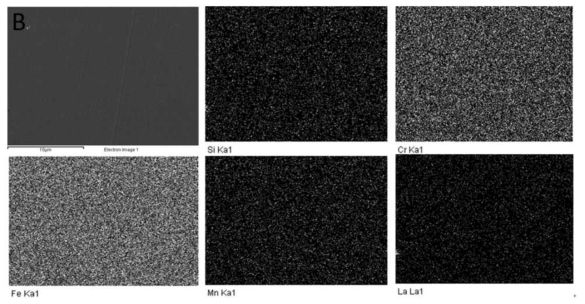 SUS430-LaCrO3의 EDS mapping 사진
