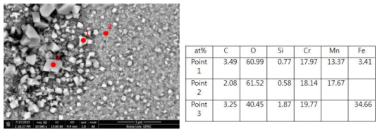 SUS430 + La2O3 1.0 wt% 첨가 시편의 225 시간 산화 후 표면 산화물 EDS결과