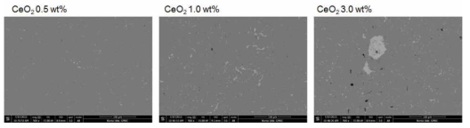 SUS430 + CeO2 0.5 , 1.0 , 3.0 wt% 첨가 시편의 초기 산화물 분포