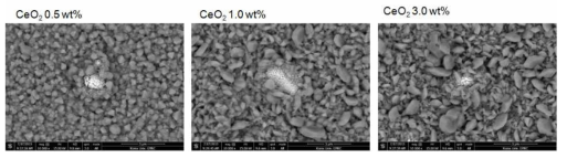 SUS430 + CeO2 0.5 , 1.0 , 3.0 wt% 첨가 시편의 225 시간 산화 후 산화물 분포