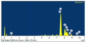 액상 플라즈마 시스템을 이용하여 제조한 니켈 입자 수용액의 EDS spectrum