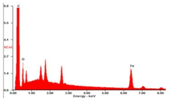 철/활성탄 복합체의 EDS spectrum