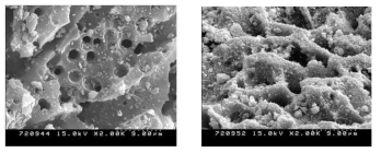 (a) 활성탄과 (b) 무전해 구리 도금된 활성탄소의 SEM 사진