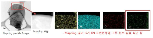 Amino silane 표면 코팅된 BN 입자