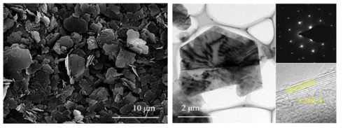 2차원 판상구조의 BN의 SEM 및 TEM 사진