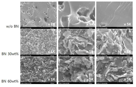 BN / Epoxy 복합소재의 파괴단면